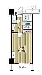 フォレステージュ天神 4階/407