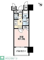 サヴォイテンジンスクワイヤー 7階/-