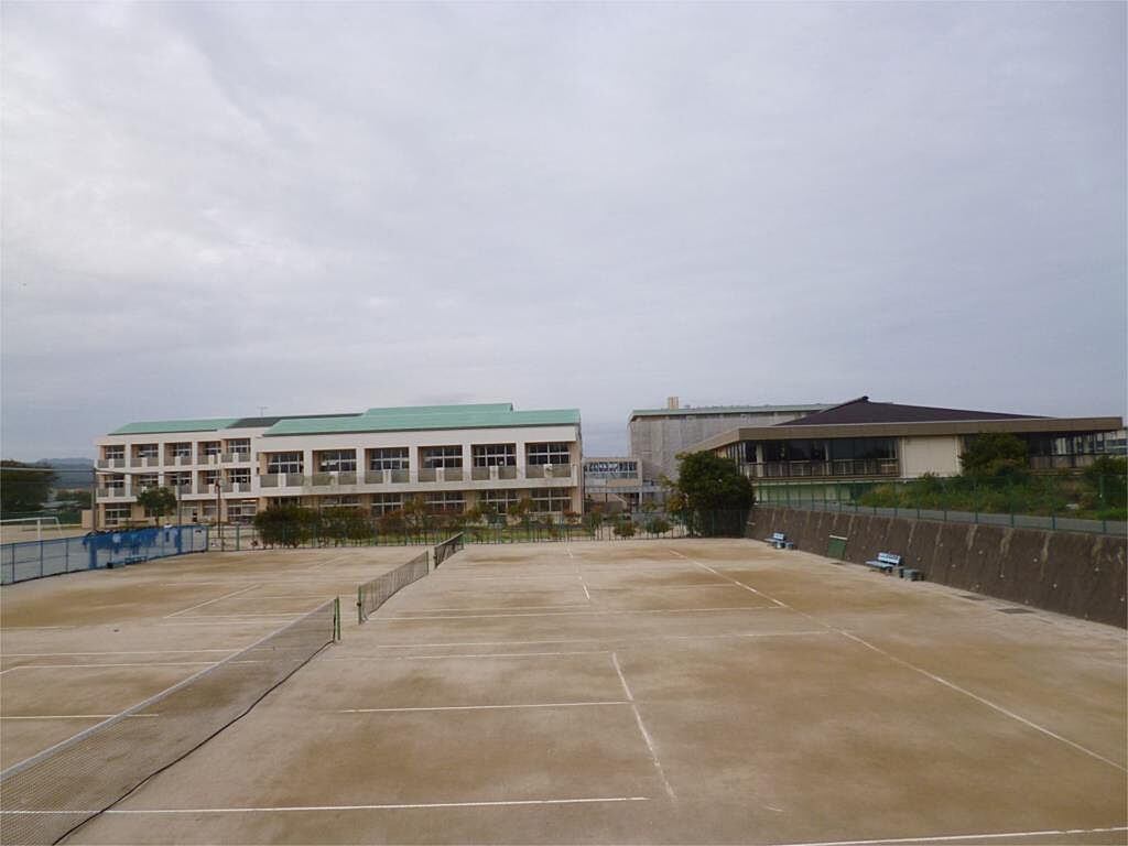 Image 73