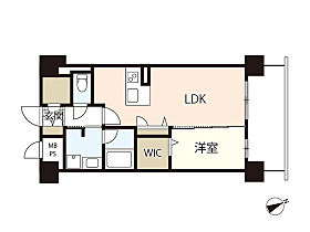 広島県広島市中区東白島町（賃貸マンション1LDK・5階・42.85㎡） その2