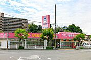 ドラックストア「クスリ岩崎チェーン広島府中南店まで1084ｍ」