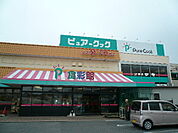 スーパー「ピュアークックアジナモール店まで262ｍ」