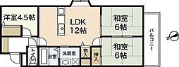 グレイス川井 3LDKの間取図画像
