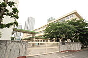 小学校「広島市立白島小学校まで278ｍ」