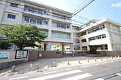小学校「広島市立緑井小学校まで197ｍ」