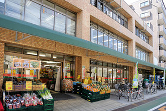 KDXレジデンス中板橋 ｜東京都板橋区弥生町(賃貸マンション1K・6階・25.18㎡)の写真 その19