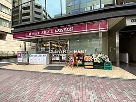 カスタリア銀座  ｜ 東京都中央区銀座1丁目14-13（賃貸マンション1R・13階・40.49㎡） その11