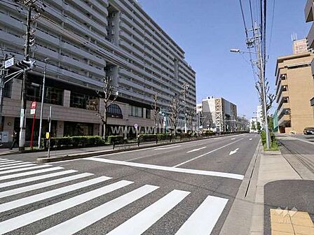 敷地北側の前面道路。県道217号線です。