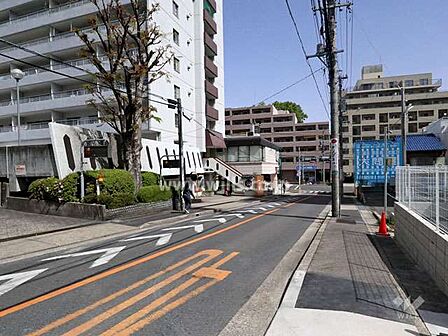 敷地東側の前面道路。二車線の道路です。