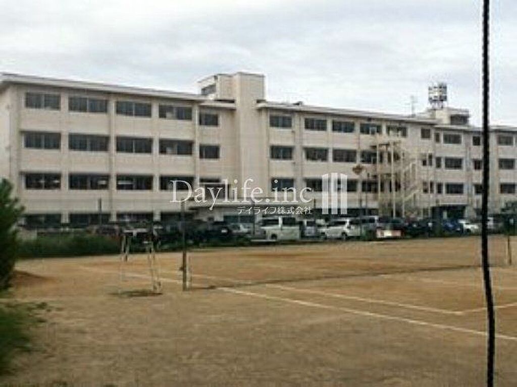 Image 6