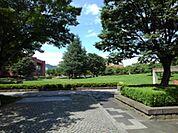 公園「若里公園まで1154m」