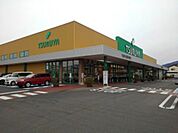 スーパー「ツルヤ長野中央店まで505m」