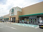 サニー日田店（996m）