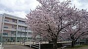 日田市立三隈中学校（451m）
