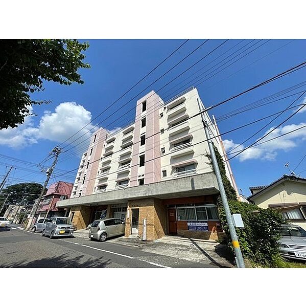 生野ビル 401｜茨城県水戸市五軒町2丁目(賃貸マンション1LDK・4階・42.15㎡)の写真 その1