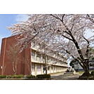 水戸市立吉沢小学校