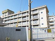 小学校　宝塚市立宝塚第一小学校まで783m　徒歩10分