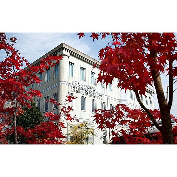 画像6:大学1「京都経済短期大学まで2100ｍ」