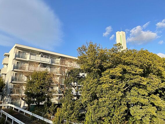 ＵＲ都市機構伏見納所団地１１号棟_その他_3