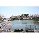 公園「中山田池公園まで1000ｍ」