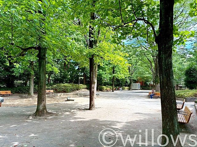 周辺 シティライブ武蔵小金井 6階/-