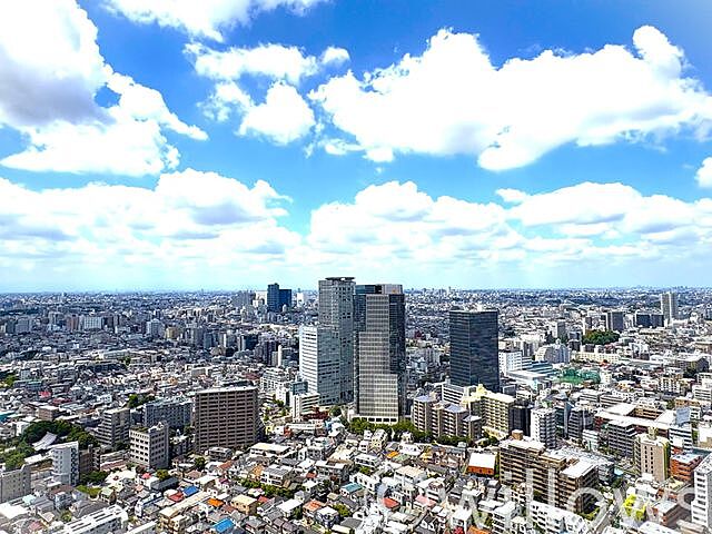 その他 パークタワー西新宿 39階/-