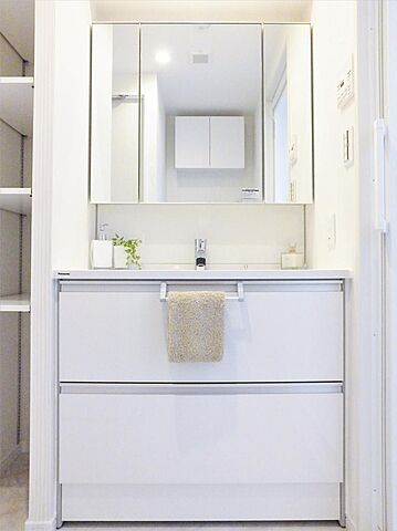 洗面 月島ホームズ 7階/-