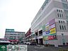 周辺：ヤマダ電機テックランドニトリモール相模原店 徒歩12分。ホームセンター 900m