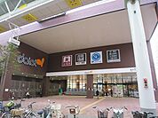 ダイエー赤羽店 362m