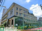 ひぐらし小学校 235m