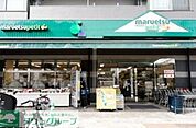 マルエツプチ千石店 366m