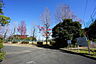 周辺：柏原中央公園