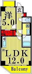 While椿 1LDKの間取図画像