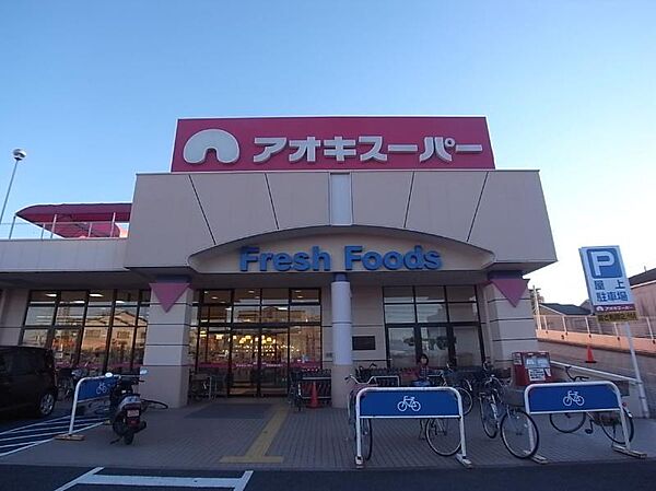画像9:アオキスーパー 八田店（792m）