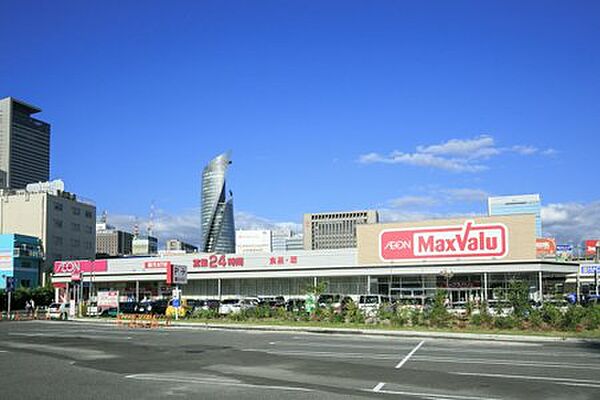 画像16:ザ・ダイソー イオンタウン太閤ショッピングセンター店（1300m）