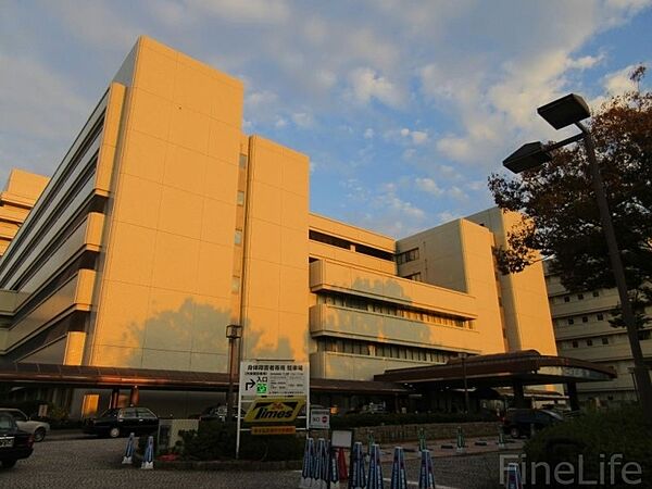 画像30:神戸大学医学部附属病院 1127m