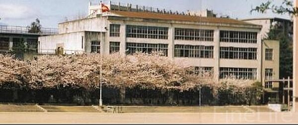 画像17:垂水中学校 1990m