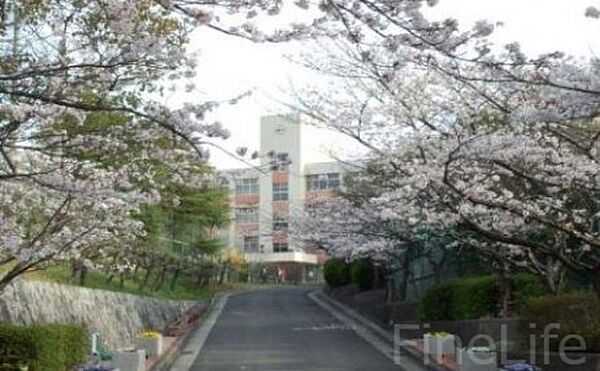画像28:神戸市立横尾中学校 953m