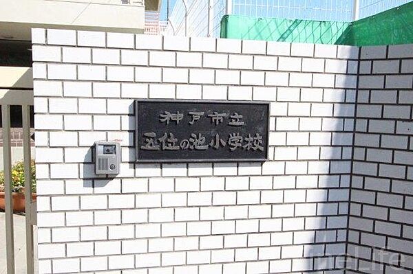 画像28:神戸市立五位の池小学校 143m