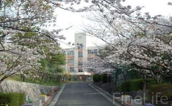 画像28:神戸市立横尾中学校 243m