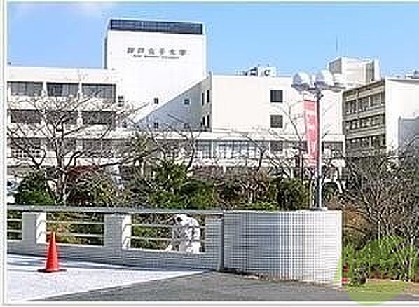 画像29:神戸女子大学 2056m