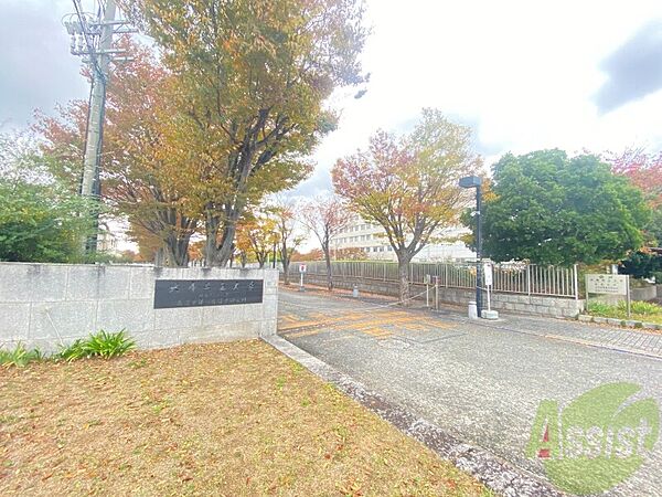 画像2:兵庫県立大学明石看護キャンパス 3903m