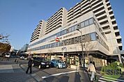 垂水図書館 532m