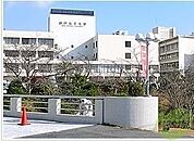 神戸女子大学 2056m
