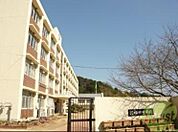 福田中学校 1100m