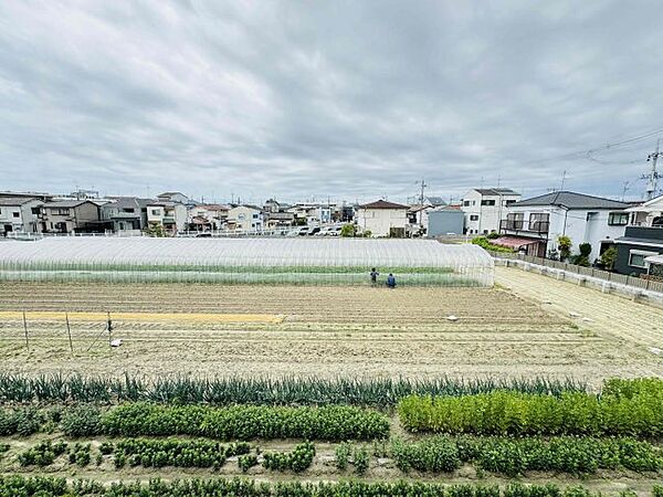 法善寺グリーンハイム 203｜大阪府柏原市法善寺4丁目(賃貸アパート3DK・2階・52.17㎡)の写真 その18