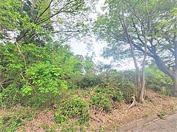 物件画像 袖ケ浦市野里 条件なし売地 全1区画