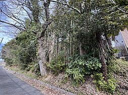 成田市大竹　売地 全1区画の土地画像