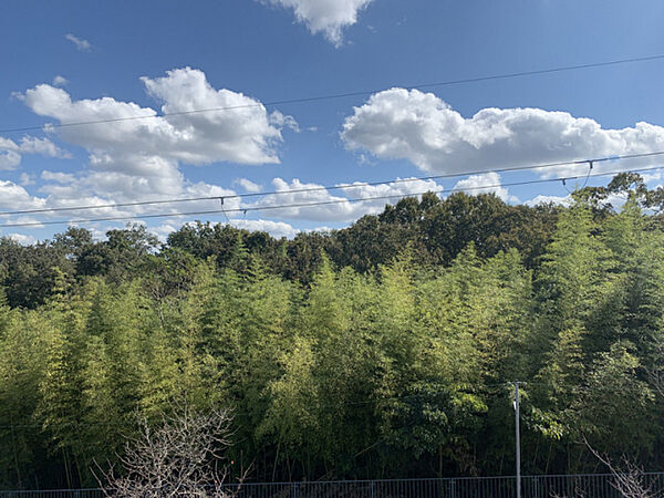 カサベルデ南山I ｜兵庫県加東市藤田(賃貸アパート2LDK・1階・50.92㎡)の写真 その15