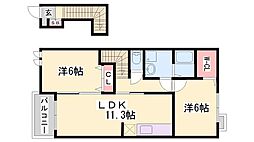 ステラ　テレーノ